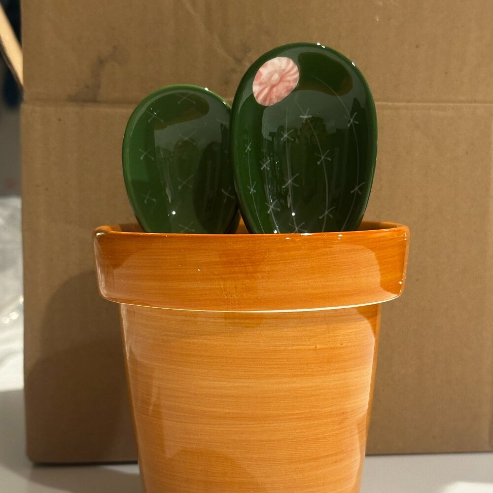 Cactus Ceramic Measuring Spoons and Cup Set